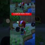 【あつ森配信切り抜き】この時からアホだったかもしれない… #あつ森 #ゲーム実況 #あつまれどうぶつの森 #実況 #shorts #チャンネル登録お願いします