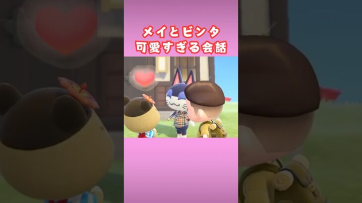 メイとビンタのかわいい会話【あつ森】#shorts #あつ森