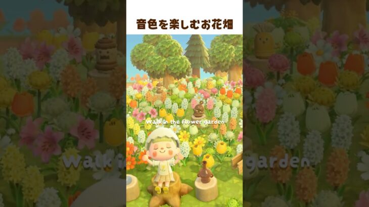 はにわとお花いっぱいの散歩道 🐾 #shorts #あつ森