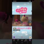【あつ森アニメ】温泉を満喫するパンダ家族#shorts #あつ森