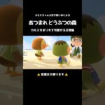 【あつ森】僕に砂をかけてくれ🏝【カモミ】#shorts #歌い手 #あつ森 #カモミ #まりも