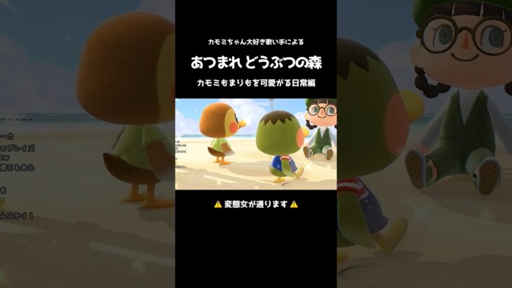 【あつ森】僕に砂をかけてくれ🏝【カモミ】#shorts #歌い手 #あつ森 #カモミ #まりも