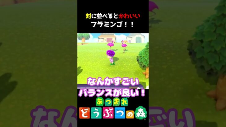 写真スポットの出来上がり～♪フラミンゴを対に並べるとかわいい！　#あつ森  #shorts #けいとかんな