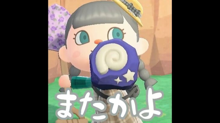 【あつ森】ジャックと宝探ししちゃうぞー！！ #shorts #あつ森  #あつまれどうぶつの森 #ゲーム実況
