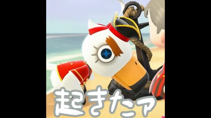 【あつ森】倒れて…イル？！ #shorts #あつ森 #あつまれどうぶつの森 #ゲーム実況