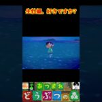 生牡蠣、好きですか? #あつまれどうぶつの森 #shorts #あつ森