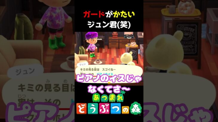 大切なものは絶対に守るジュン君!! #あつ森  #shorts #けいとかんな