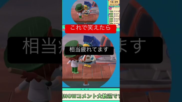【あつ森配信切り抜き】たまに出る親父ギャグ #あつ森 #あつまれどうぶつの森 #ゲーム実況 #shorts #実況