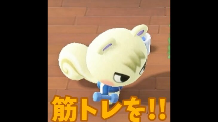 【あつ森】ジュン様が・・筋トレをはじめたみたい・・？！？！ #shorts #あつ森 #ゲーム実況 #あつまれどうぶつの森
