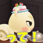 【あつ森】またまた誕生日！？次はばーすてバースデーボーイ！！#shorts  #あつ森 #あつまれどうぶつの森 #ゲーム実