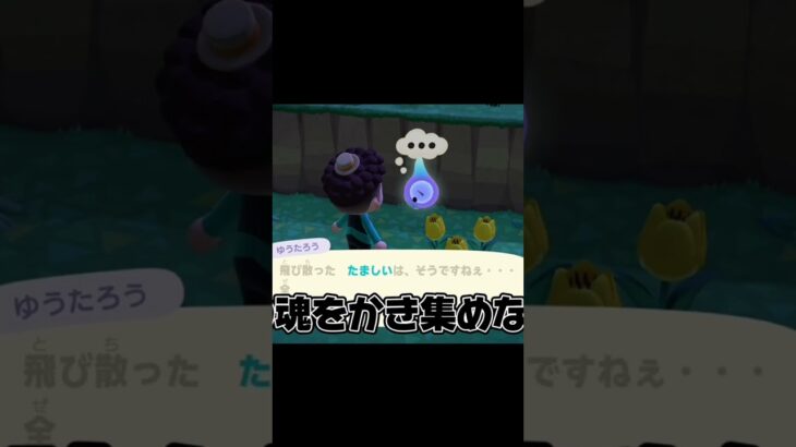 最近ゆうたろう見てないなー #あつまれどうぶつの森 #あつ森 #どうぶつの森 #ゲーム実況 #ゲーム #shorts