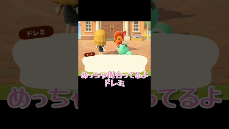 たぶん運動会前【あつまれどうぶつの森】#あつ森 #ゲーム実況 #shorts