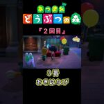 【#あつ森 】夏祭りのクジ引きで神引き！？#shorts