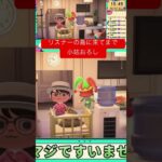 【あつ森配信切り抜き】やかましいすぎる配信者 #あつ森 #ゲーム実況 #あつまれどうぶつの森 #shorts