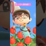 【あつ森】ミツバチつかまえたよ @たーさんの趣味の部屋  #たーさん昆虫記 #shorts