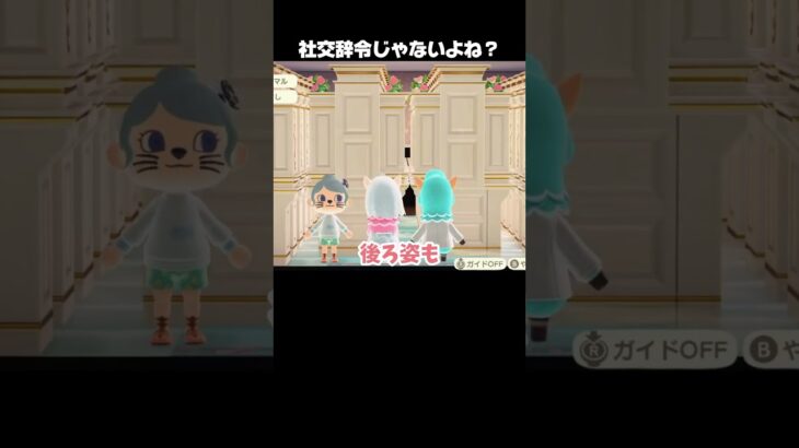 【あつ森】ウェディング最速周回方法はコレ【あつまれどうぶつの森】#shorts
