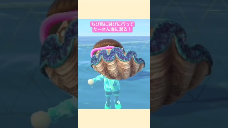 【あつ森】オオシャコガイとったよ @たーさんの趣味の部屋  #たーさん海に潜る #shorts