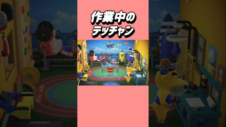 不人気らしいけど誰よりも心優しいテッチャン!!【あつ森】#あつまれどうぶつの森 #あつ森 #shorts