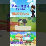 [あつ森]和風エリアでのジュンくん #shorts