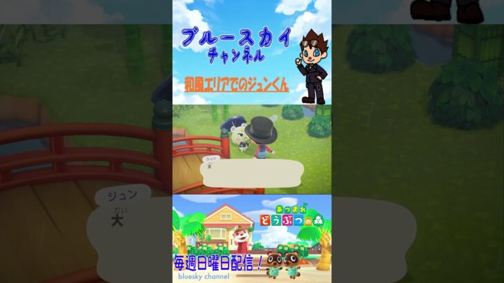 [あつ森]和風エリアでのジュンくん #shorts