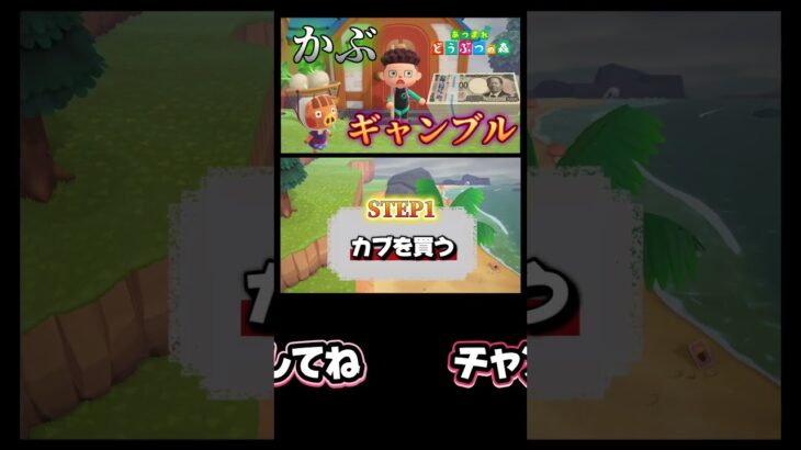 カブについて説明しよう！#あつまれどうぶつの森 #あつ森 #どうぶつの森 #ゲーム実況 #ゲーム #shorts