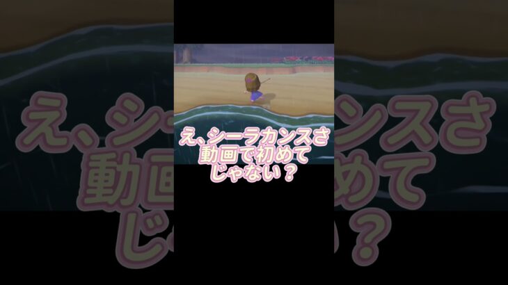 ついに釣りあげた！【あつまれどうぶつの森】#あつ森 #ゲーム実況 #shorts