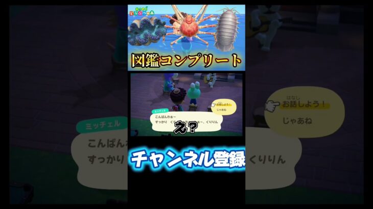 ミッチェルさんなんでだよ！！#あつまれどうぶつの森 #あつ森 #どうぶつの森 #ゲーム実況 #ゲーム #shorts