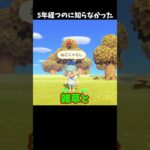あつ森アイテムこだわりが細かすぎた【あつまれどうぶつの森】#shorts