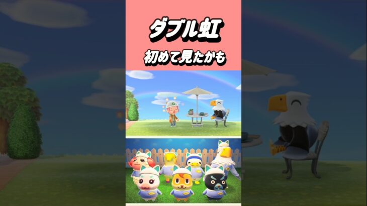 ダブル虹とのぶおと虫とり【あつ森】#あつまれどうぶつの森 #あつ森 #shorts