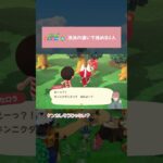【あつ森】あぶないふたり（どうぶつ） #shorts  #animalcrossing