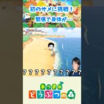 【あつ森】逃げるな卑怯者！！！ #shorts #あつ森 #あつまれどうぶつの森 #ちぬゲームズ #nintendoswitch #ゲーム実況 #切り抜き