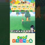 【あつ森】まず、走るとは何か。 #shorts #あつ森 #あつまれどうぶつの森 #ちぬゲームズ #nintendoswitch #ゲーム実況 #切り抜き
