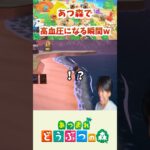 【あつ森】サメを逃して自暴自棄になる。 #shorts #あつ森 #あつまれどうぶつの森 #ちぬゲームズ #nintendoswitch #ゲーム実況 #切り抜き