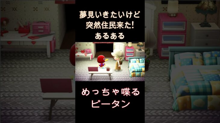 【あつ森】夢見行きたいのに突然遊びに来た住民あるあるｗｗ #あつ森＃あつまれどうぶつの森#あつ森夢見#あつ森ピータン#shots