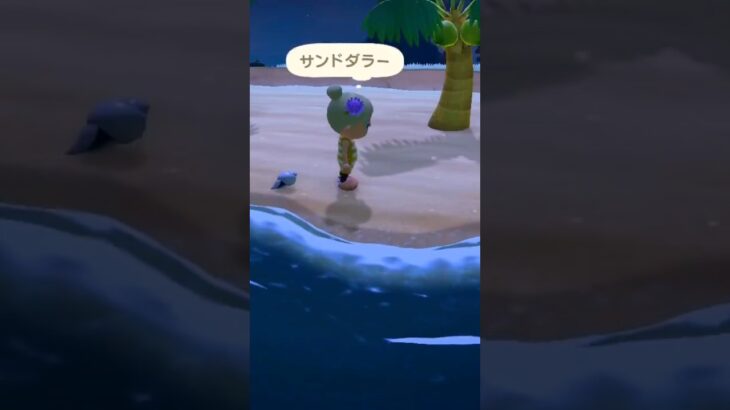 サンドダーラー♬♩#ネタ #switch #あつ森