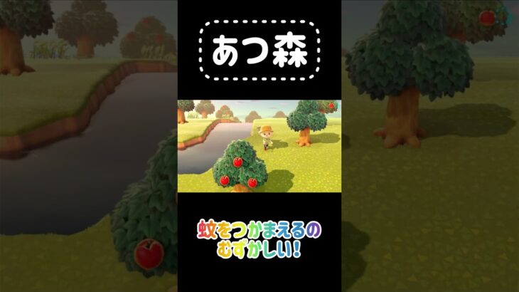 【あつ森プレイ】蚊って音が嫌よねー捕まえるの難しい！#あつ森 #ゲーム実況 #任天堂 #switch