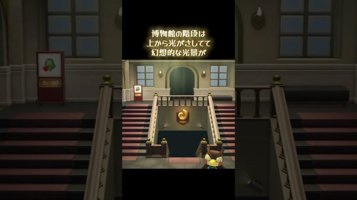 #あつまれどうぶつの森 #あつ森 #どうぶつの森 #小ネタ #博物館 #ゲーム #ゲーム実況 #switch #チャンネル登録と高評価お願いします
