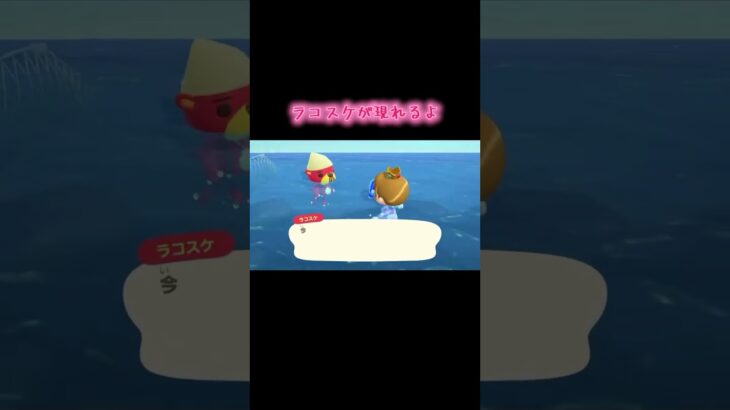#あつまれどうぶつの森 #あつ森 #どうぶつの森 #小ネタ #海の幸 #初心者向け #ゲーム #ゲーム実況 #switch