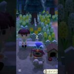 座った瞬間…😭#あつ森 #あつ森switch #ゲーム #ショート動画 #shorts
