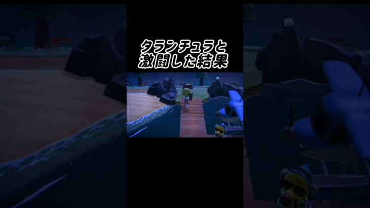タランチュラと激闘した結果 #switch2 #ゲーム実況 #あつ森 #あつまれどうぶつの森
