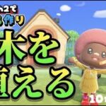 【あつ森生活⑩】switch2でより快適になったあつ森で１から島を作るぞ！！【ACNH・島クリ】