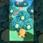 #あつ森#あつまれどうぶつの森#どうぶつの森#スイッチ#switch#ニンテンドー#任天堂#nintendo#動物#釣り#釣り竿#魚釣り#海#海の生物#海の生き物#化石#ハニワ