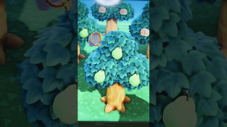 #あつ森#あつまれどうぶつの森#どうぶつの森#スイッチ#switch#ニンテンドー#任天堂#nintendo#動物#釣り#釣り竿#魚釣り#海#海の生物#海の生き物#化石#ハニワ