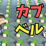 【カブ厳選】勝率９割以上のやり方解説します！【あつ森】