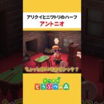 【あつ森】アリクイとニワトリのハーフ「アントニオ」