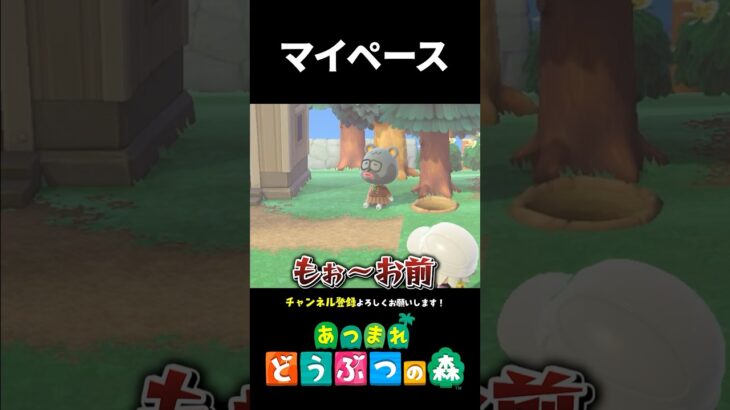 【あつ森】自由に生きるニッシー