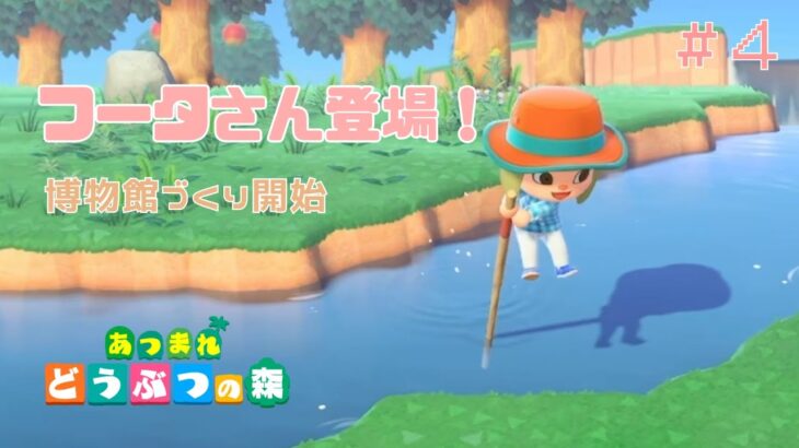 【あつ森】フータさんがやってきた！博物館設立に向けて準備開始🦉