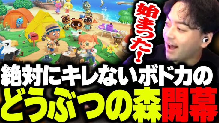 絶対にキレない、ボドカの『あつまれ どうぶつの森』開幕！