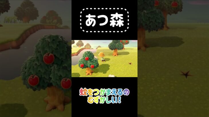 【あつ森プレイ】蚊の音が嫌よねー捕まえてみます! #あつ森 #あつまれどうぶつの森 #ゲーム実況 #ゲーム #切り抜き #任天堂
