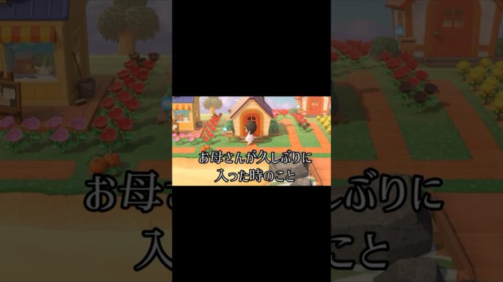 【あつ森】お母さんが久々に入った時のこと。　#あつ森
